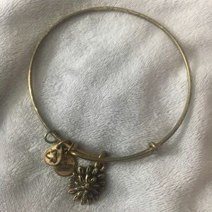 Alex & Ani Bracelet